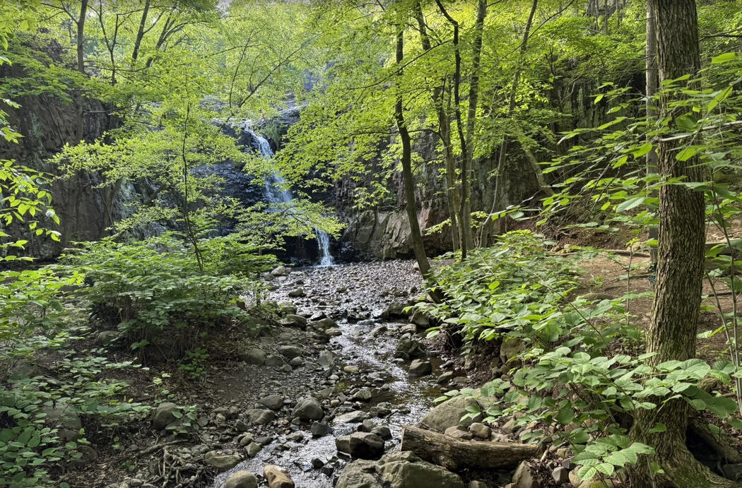 rocky path through South Mountain Reservation