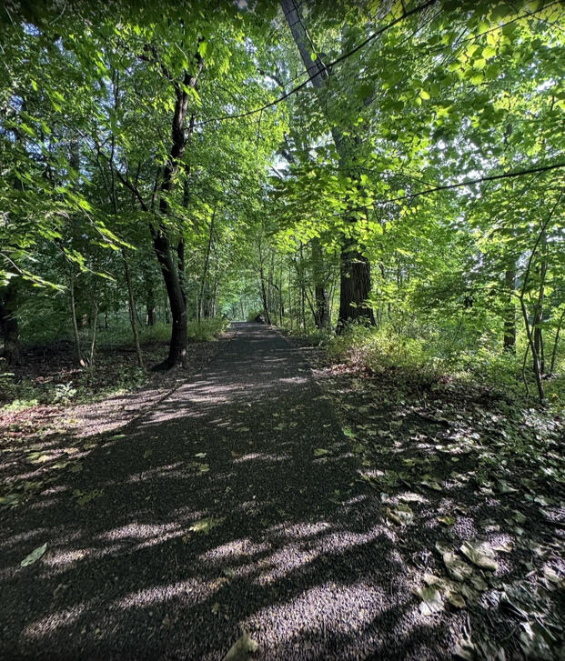 Morning jog through Branch Brook Park.