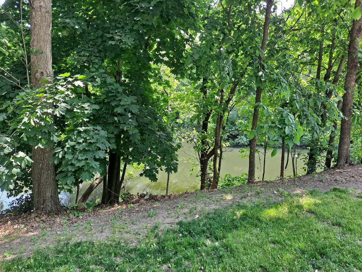 Enjoying the view of the pond