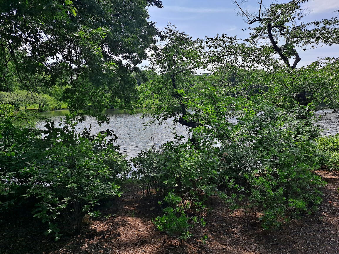 Peaceful view of Branch Brook Park