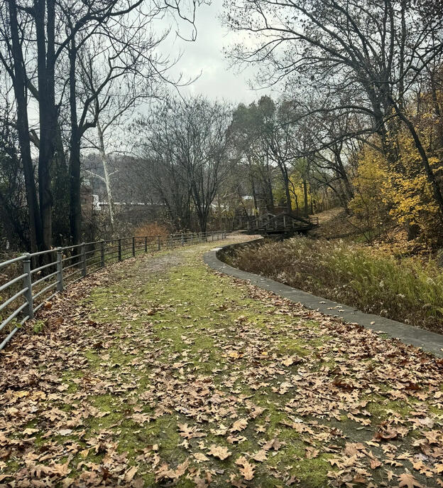 Quiet stretch of trail in Paterson